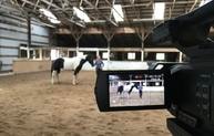 Indoor arena event with professional lighting